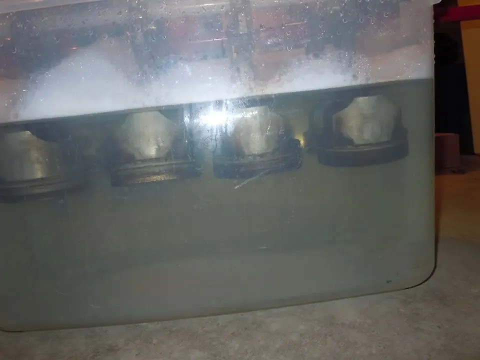 DSCN0259.webp