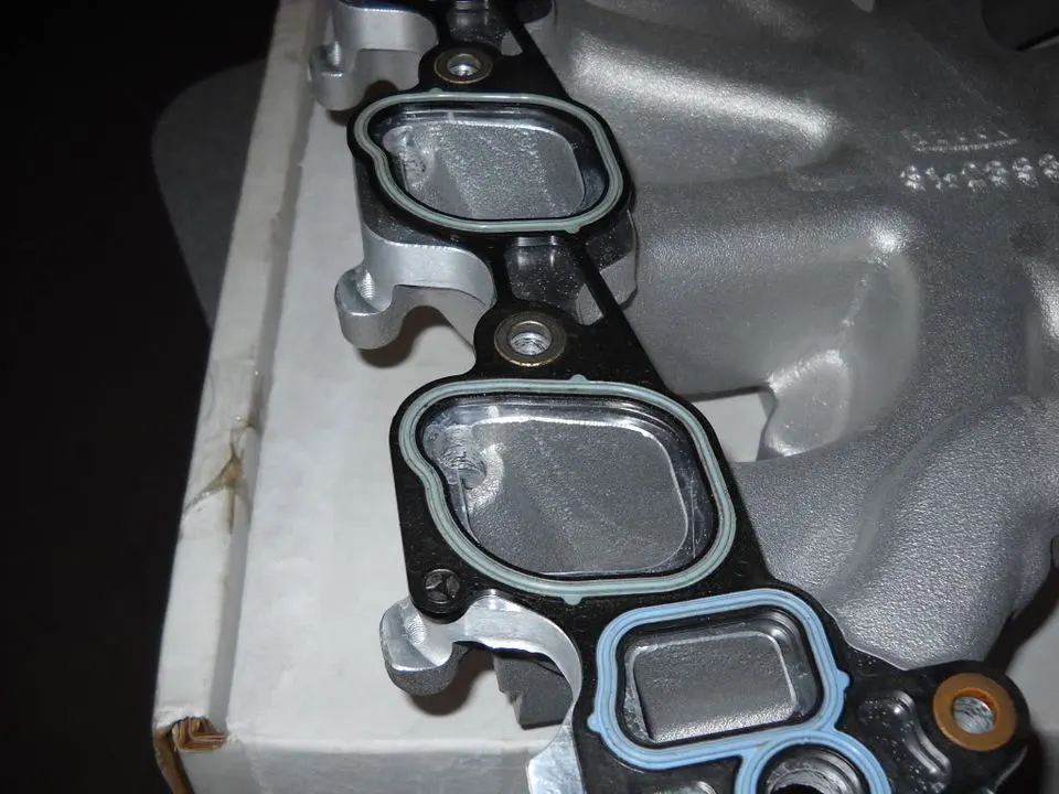 DSCN0267.webp