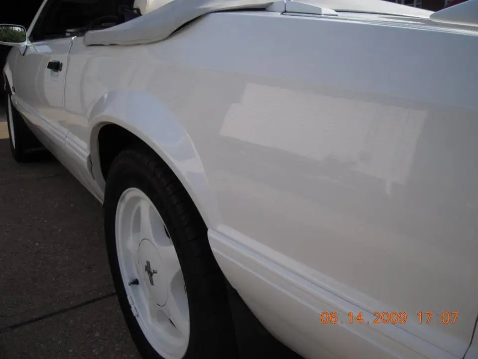 DSCN0274.webp