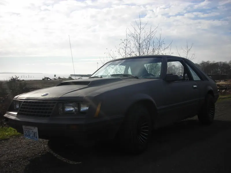 DSCN0291.webp
