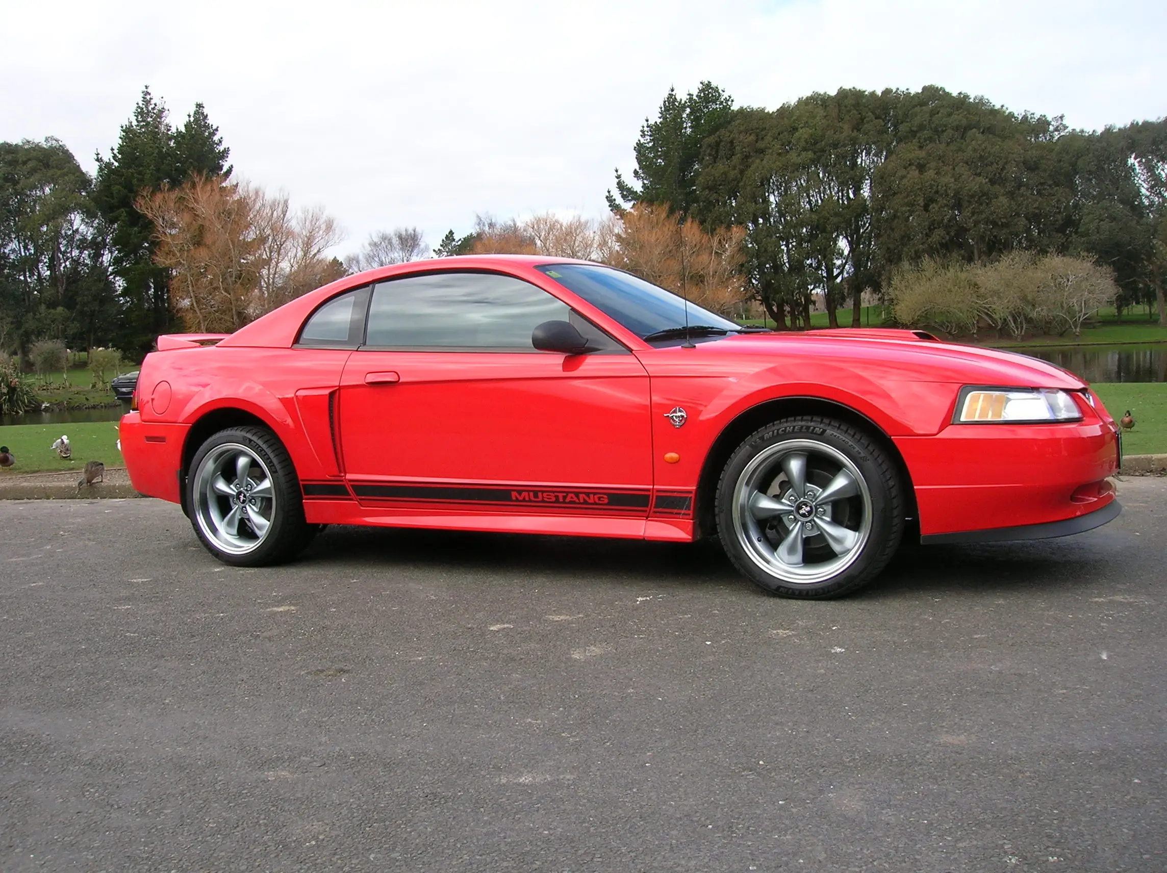DSCN0310.webp