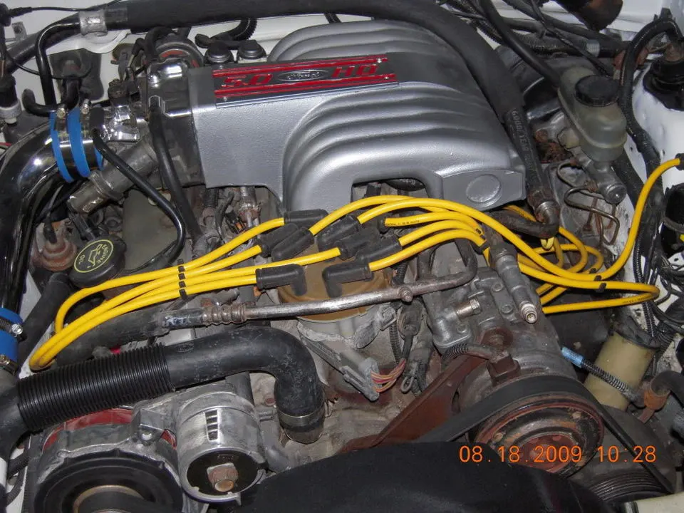 DSCN0326.webp