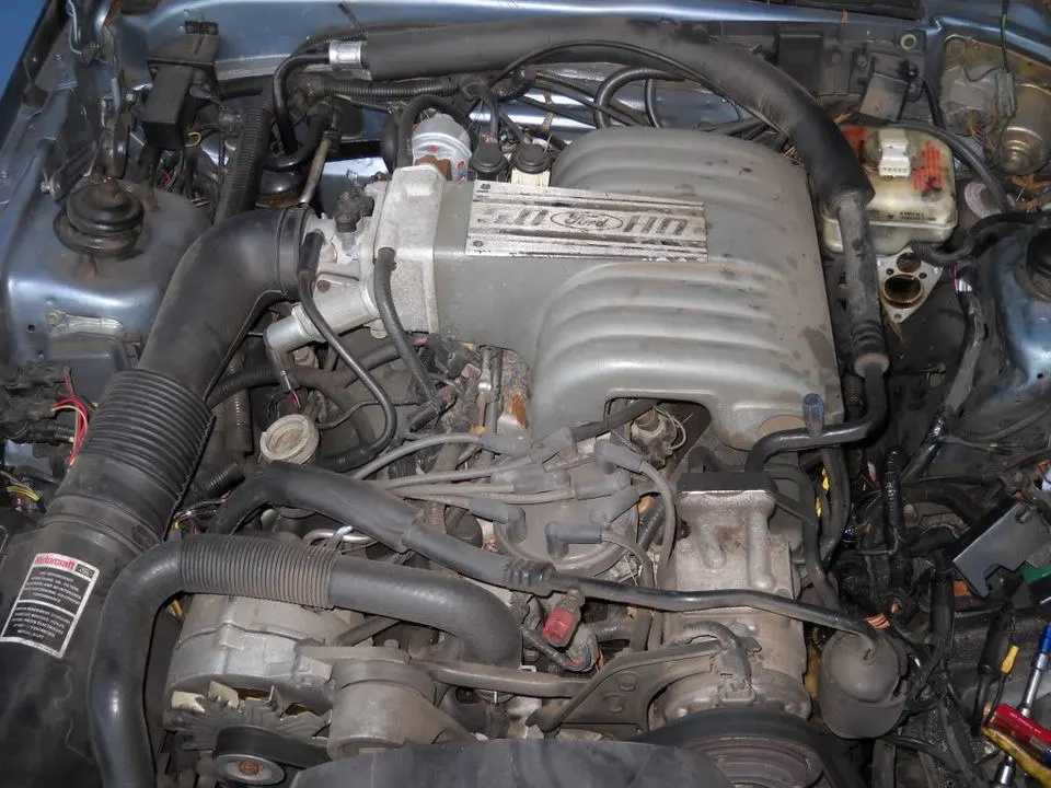 DSCN0327.webp
