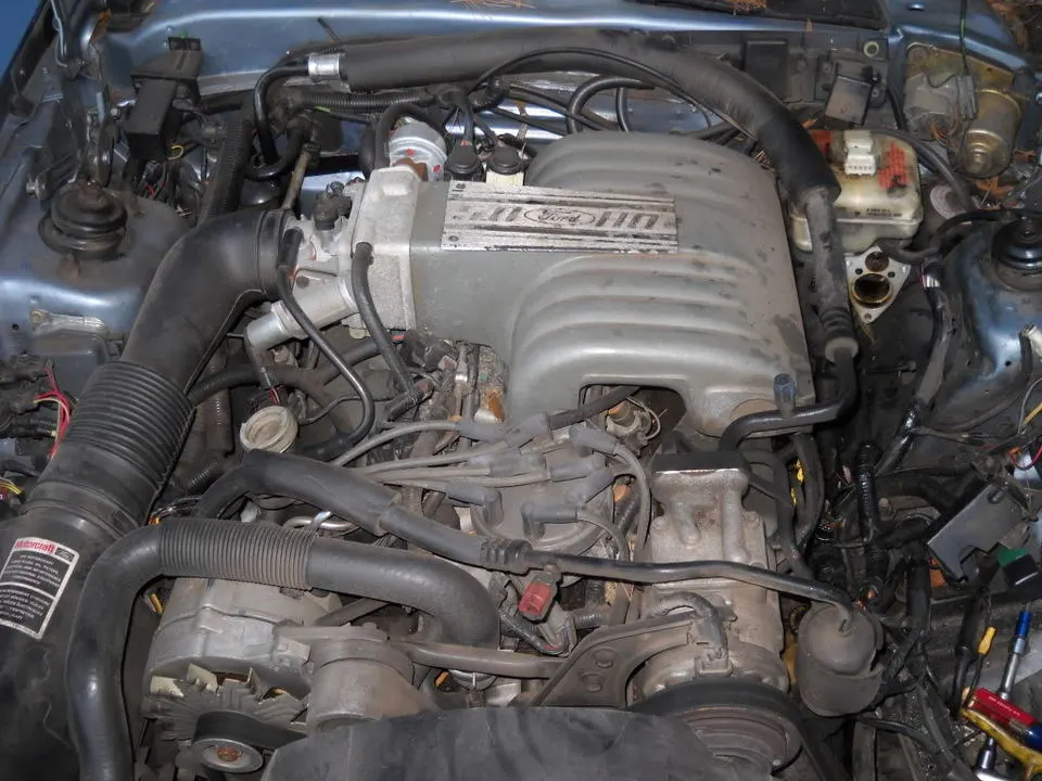 DSCN0329.webp