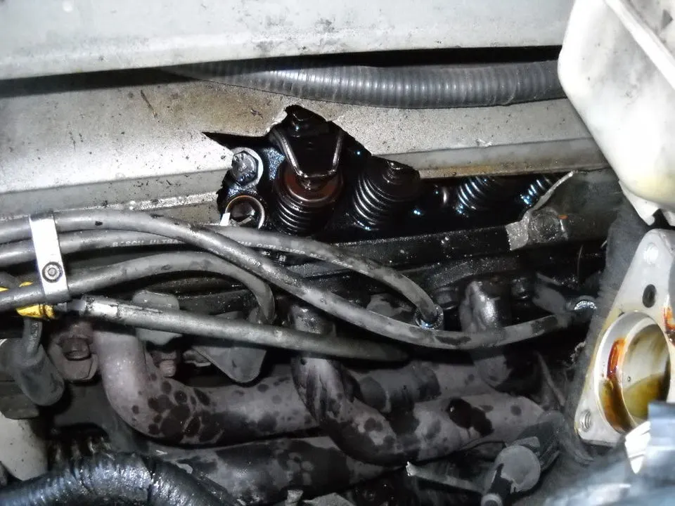 DSCN0330.webp