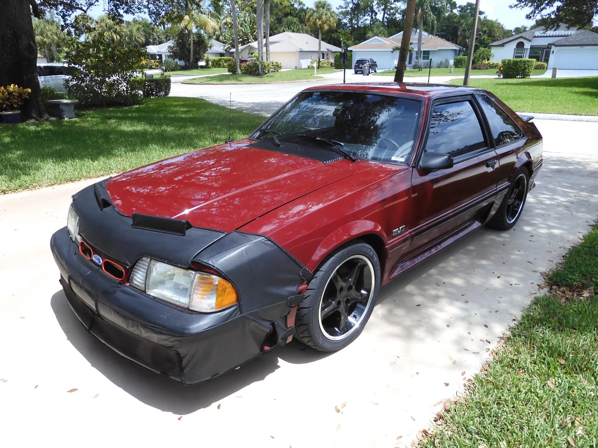 DSCN0341.webp