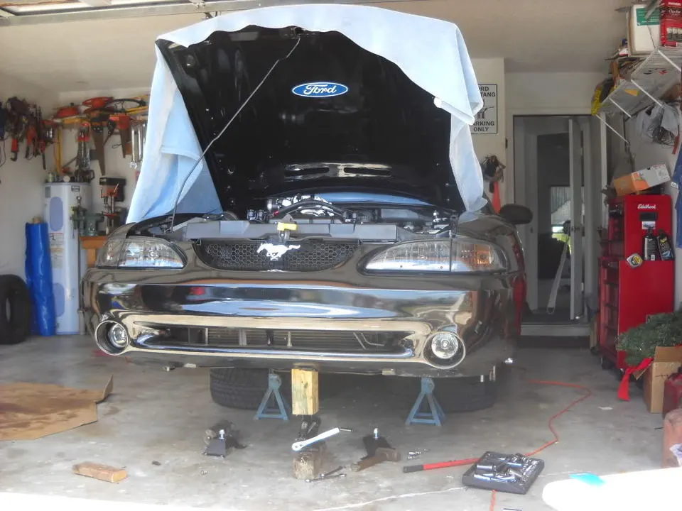 DSCN0367.webp