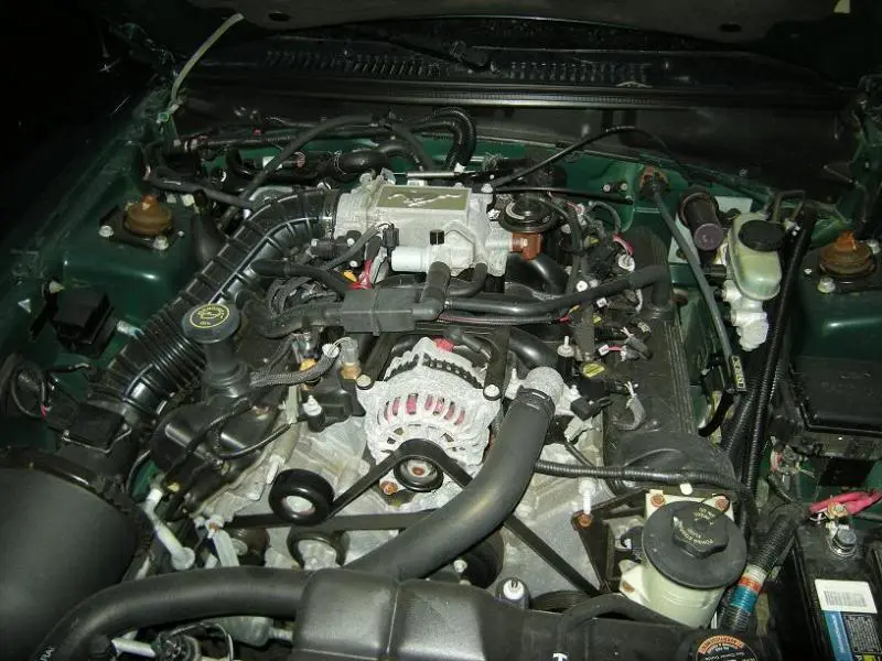 DSCN0380.webp
