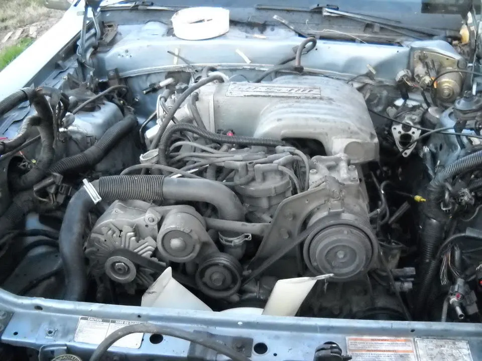 DSCN0389.webp