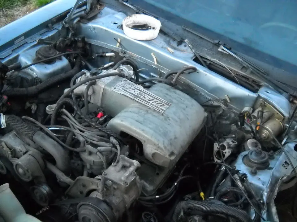 DSCN0390.webp