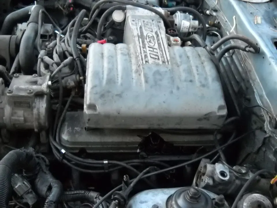 DSCN0392.webp