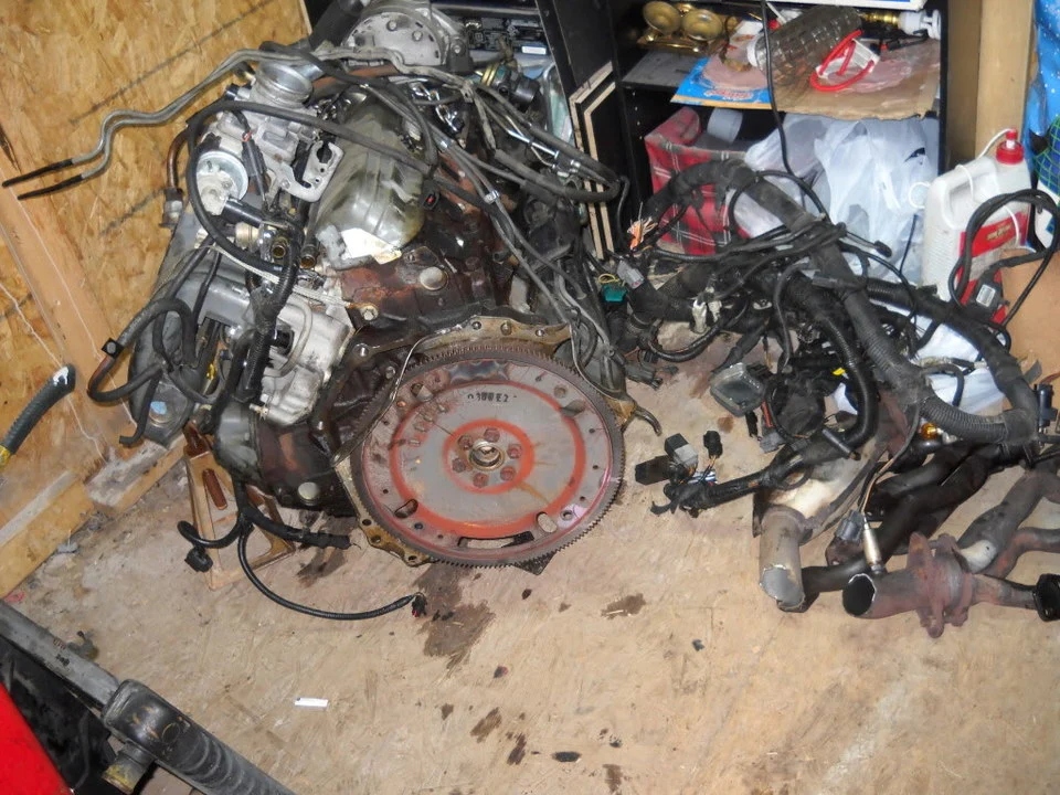 DSCN0393.webp