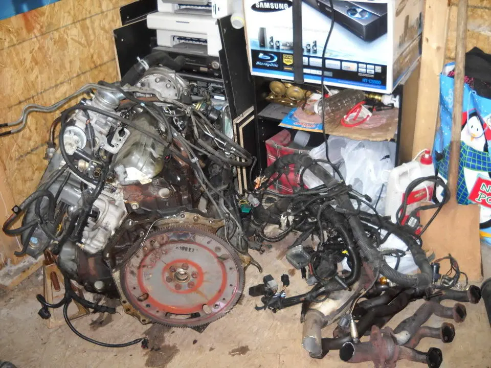 DSCN0394.webp