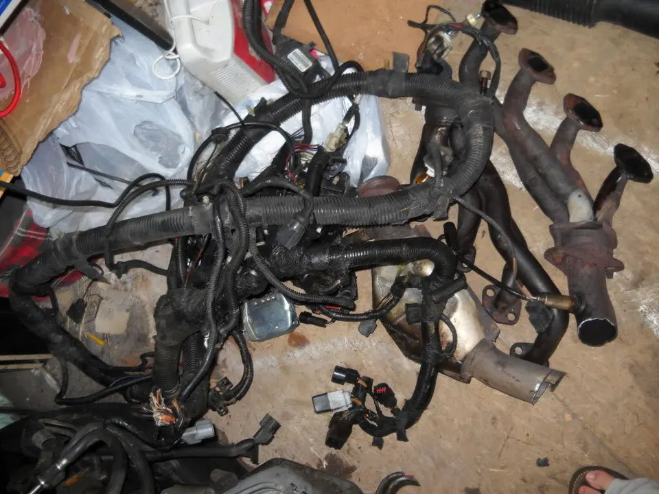 DSCN0395.webp