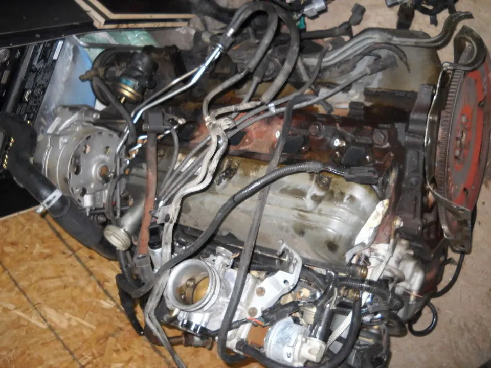 DSCN0396.webp