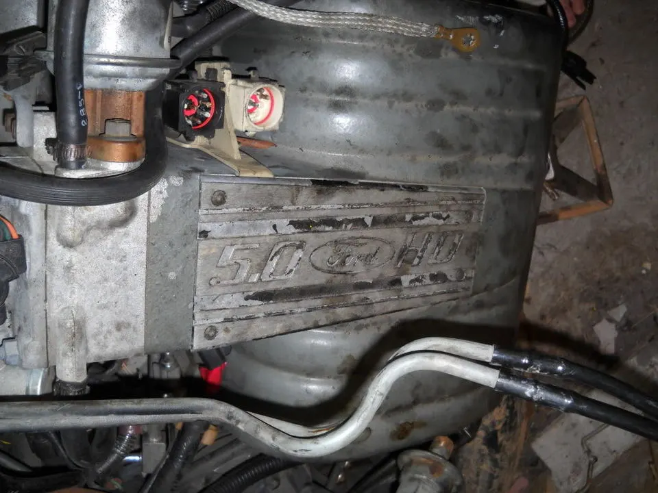 DSCN0397.webp