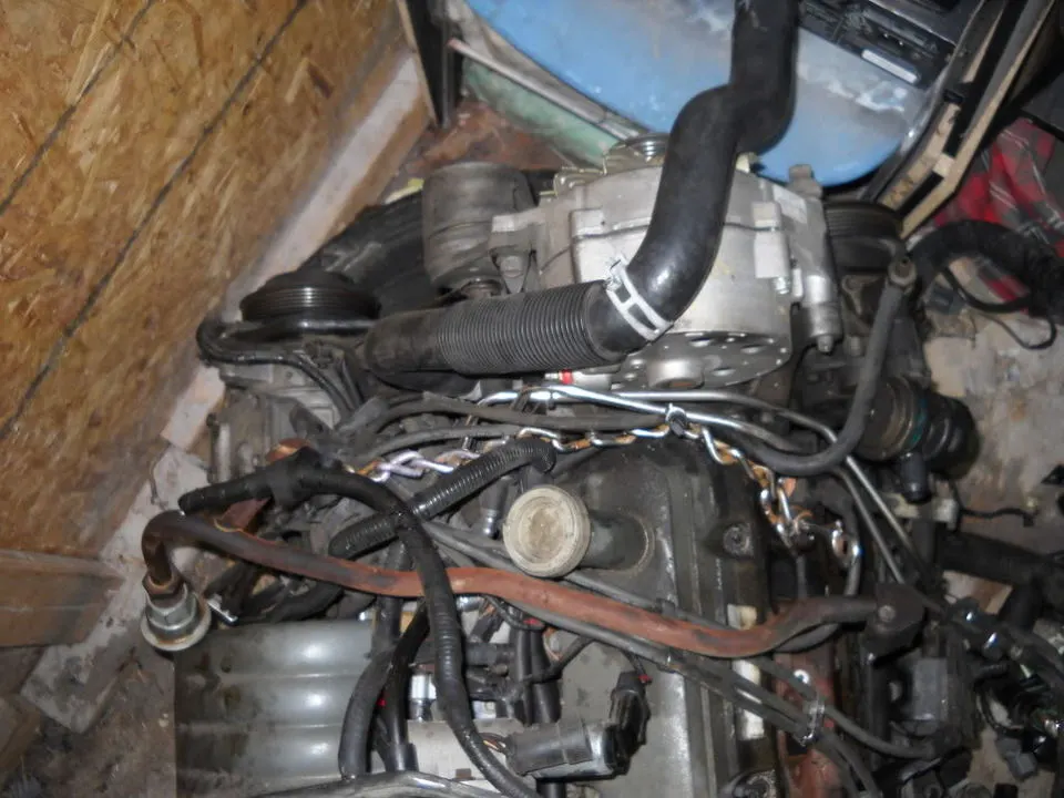 DSCN0398.webp