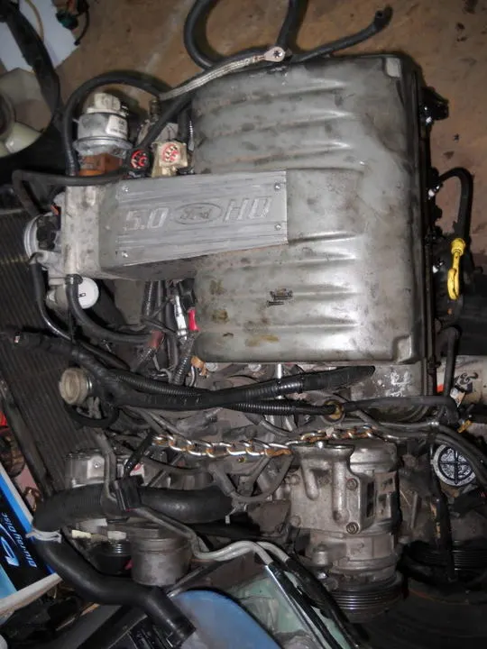 DSCN0400.webp