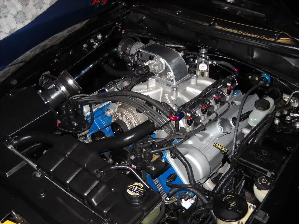 DSCN0404.webp