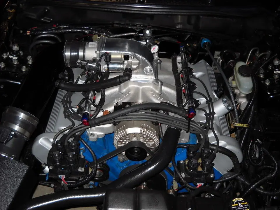 DSCN0405.webp