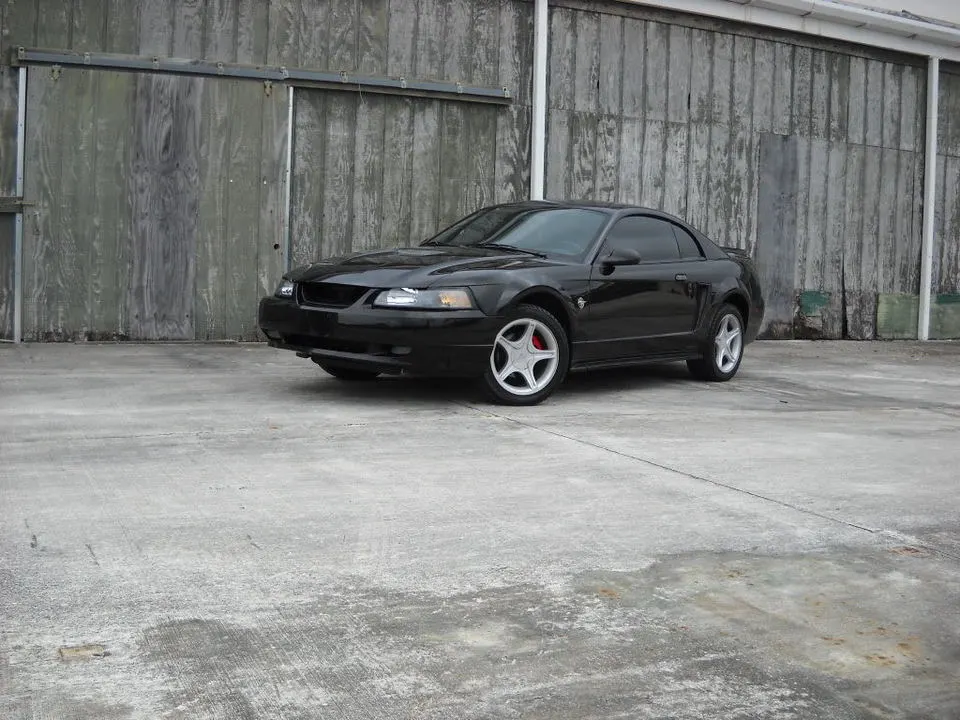 DSCN0417.webp