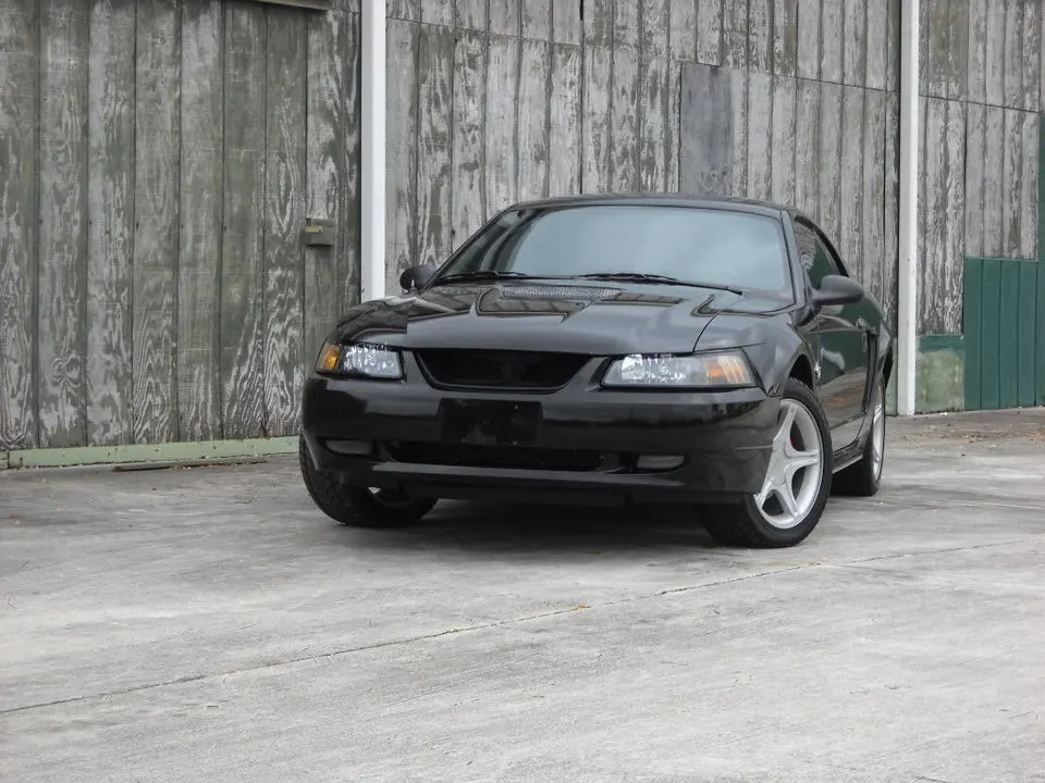 DSCN0418.webp