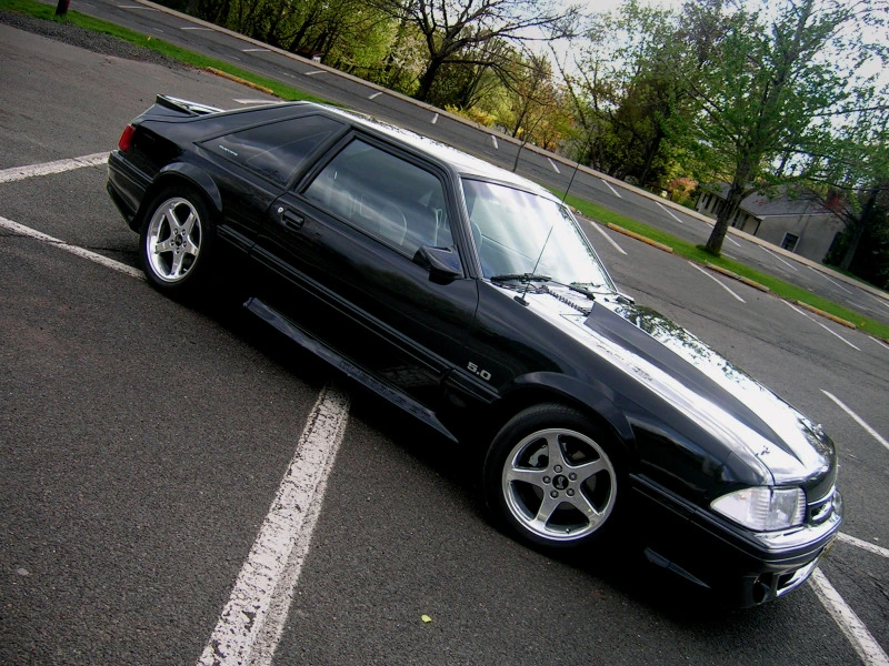 DSCN0437.webp