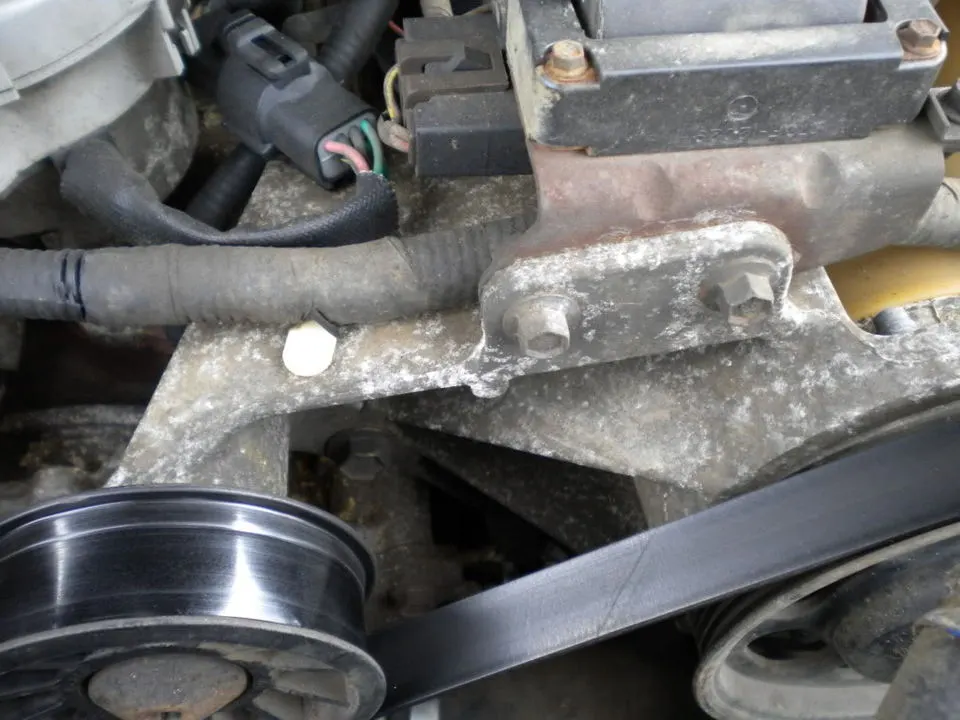 DSCN0444.webp