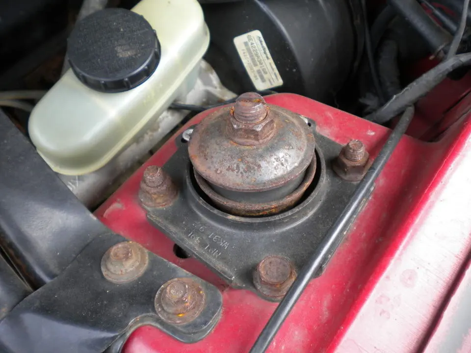 DSCN0445.webp