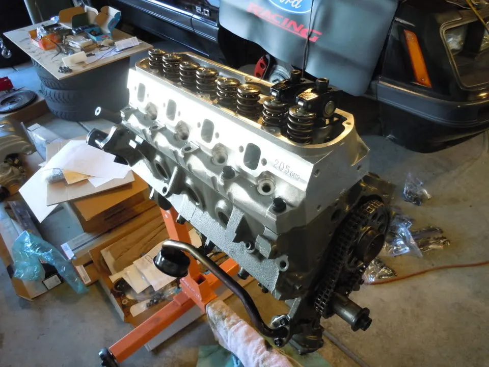 DSCN0448.webp