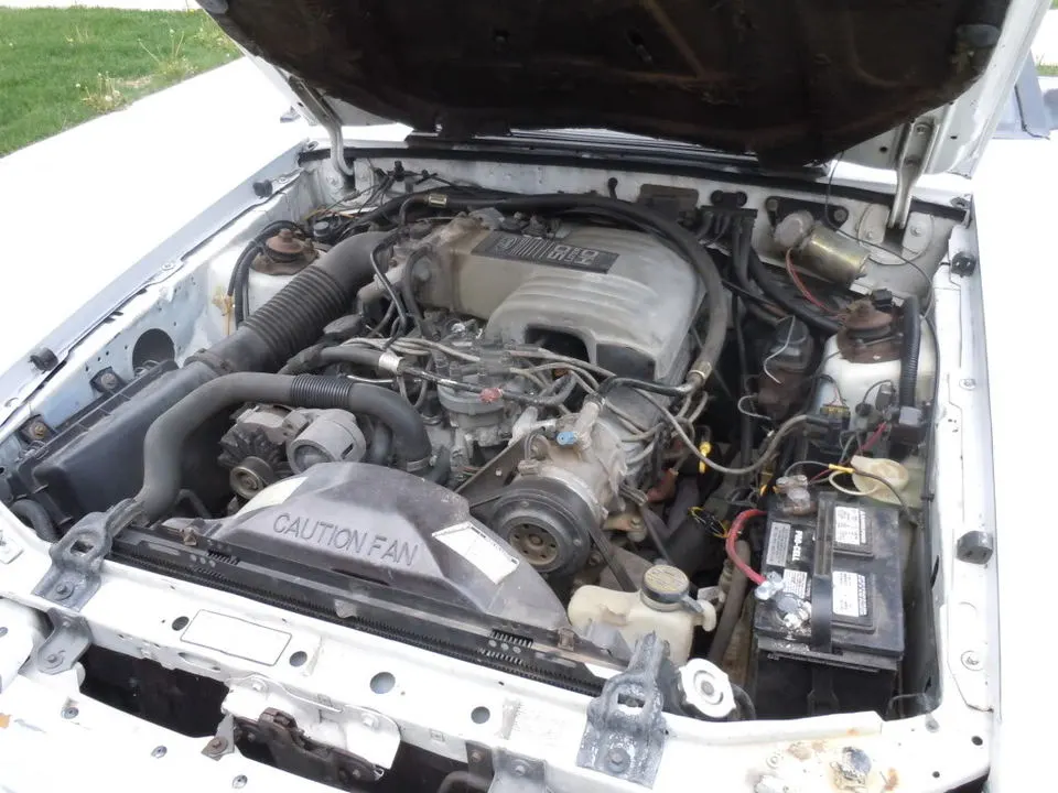 DSCN0461.webp