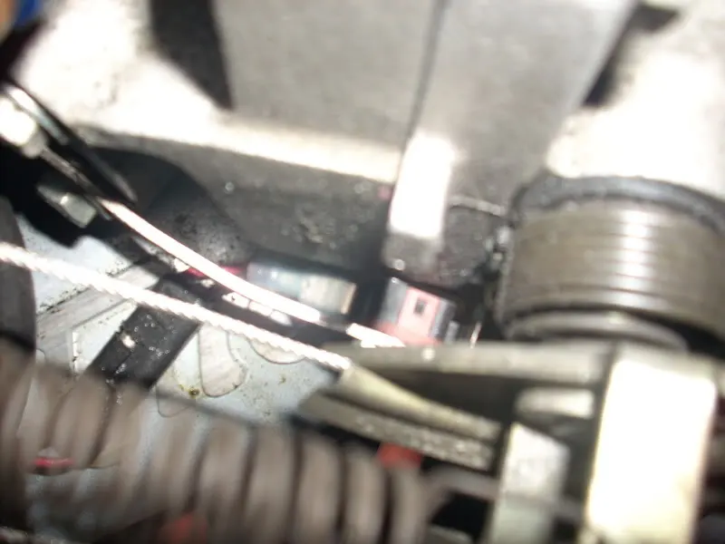 DSCN0468.webp