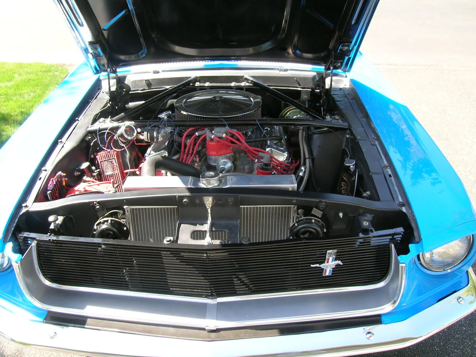 DSCN0473.webp