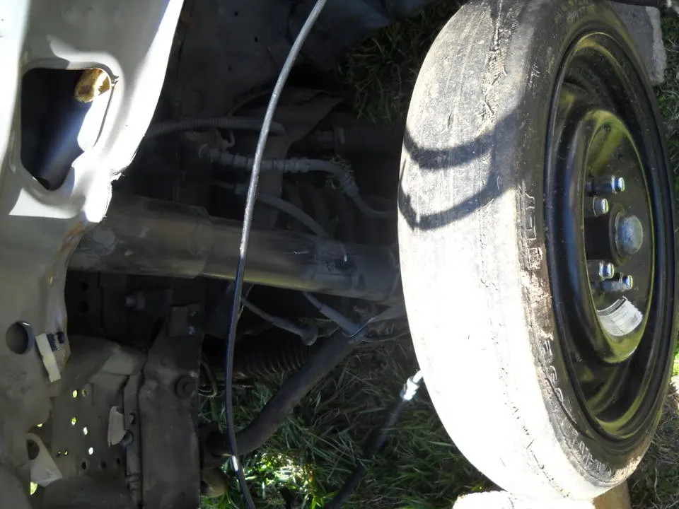 DSCN0484.webp