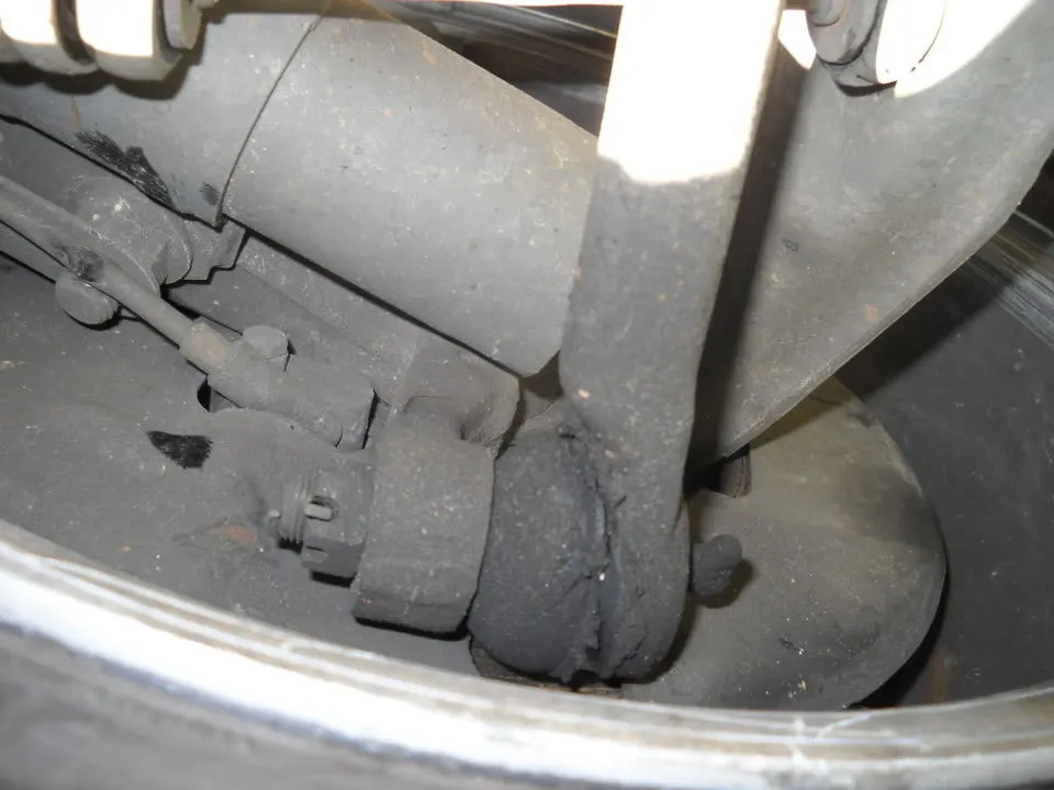 DSCN0489.webp