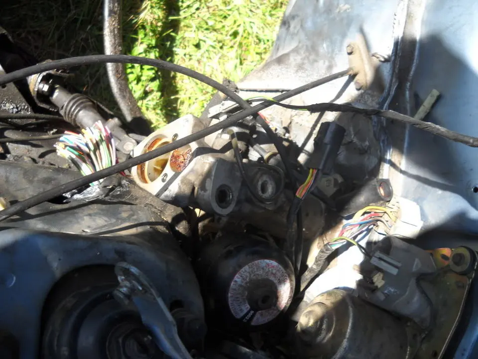 DSCN0490.webp