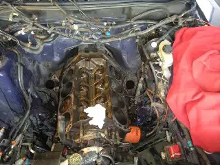DSCN0493.webp