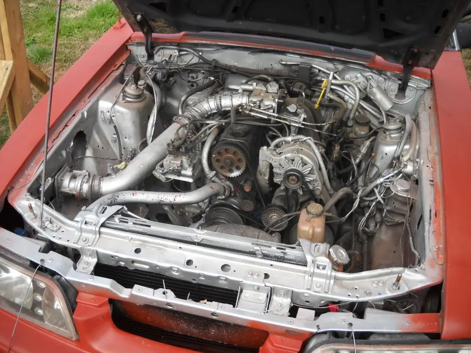 DSCN0499.webp