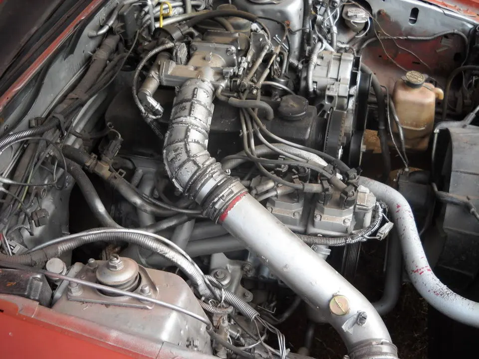DSCN0500.webp