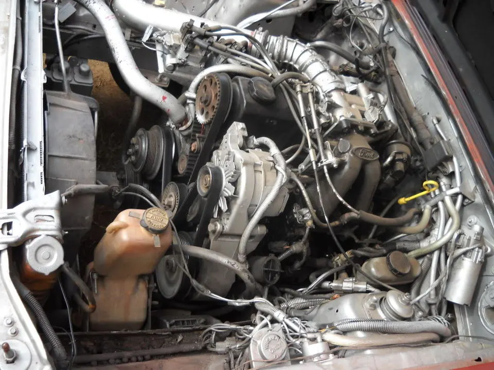 DSCN0501.webp