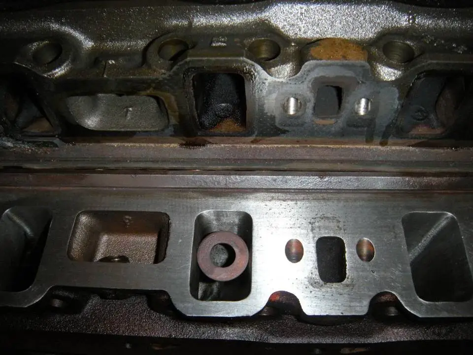 DSCN0509.webp