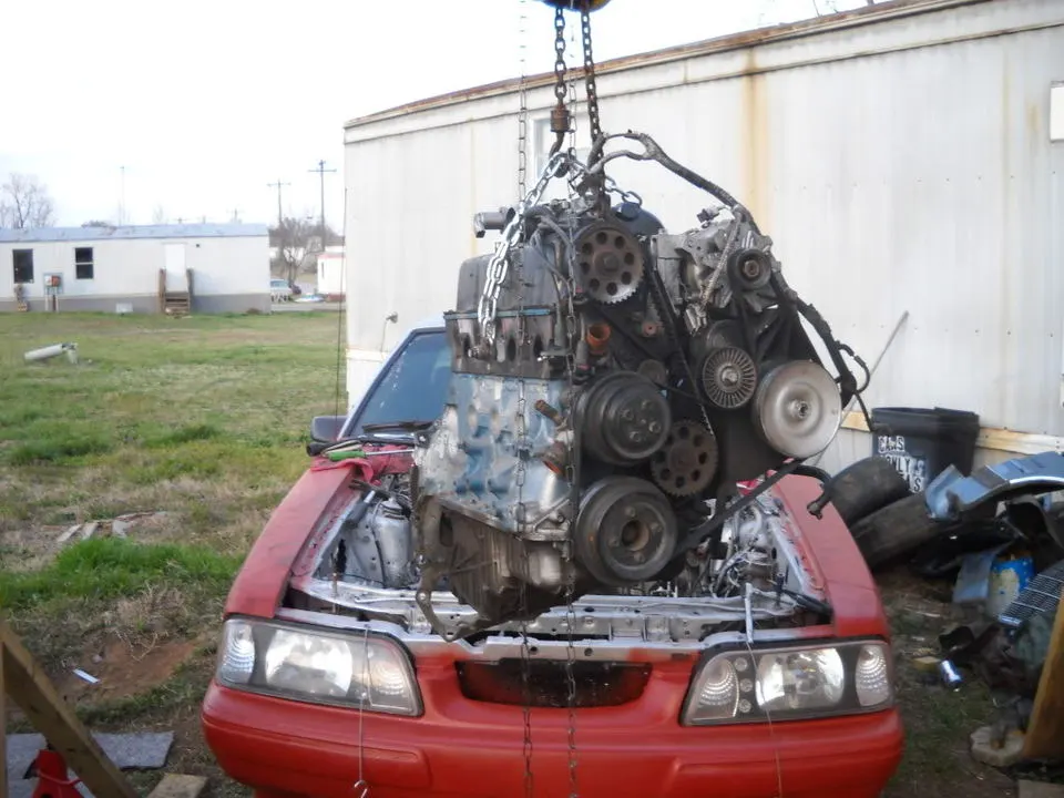 DSCN0511.webp