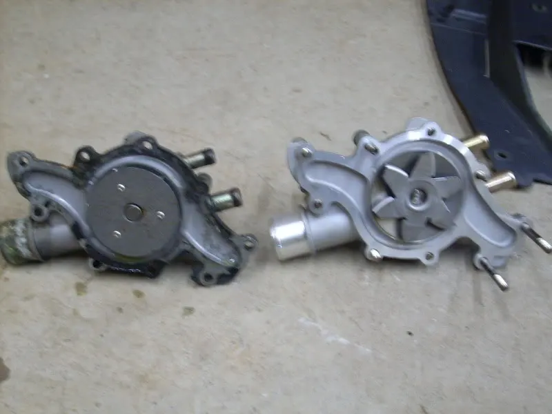 DSCN0517.webp