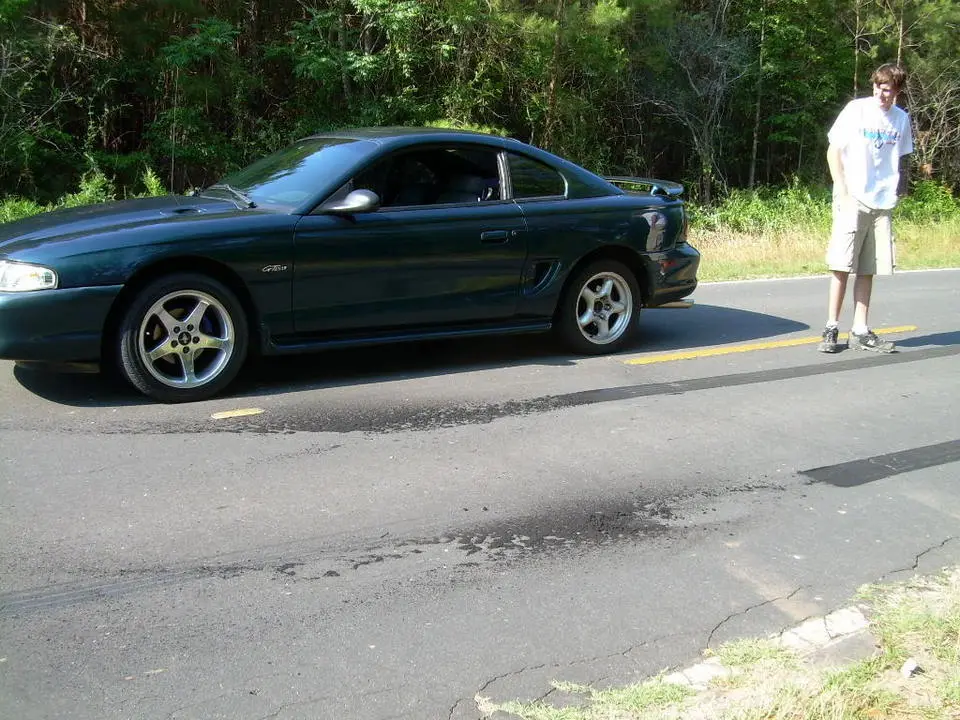 DSCN0521.webp