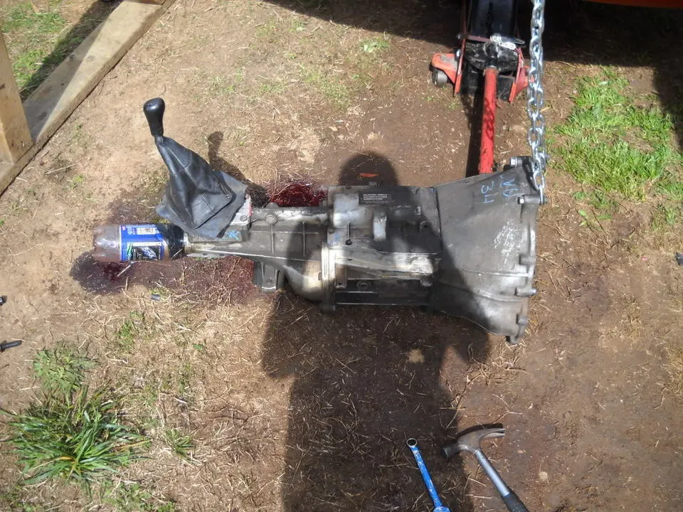 DSCN0526.webp