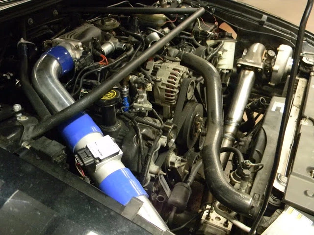 DSCN0527.webp