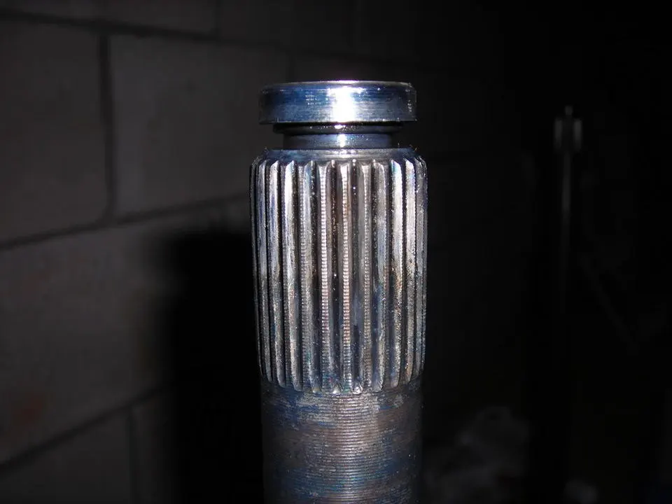 DSCN0529.webp