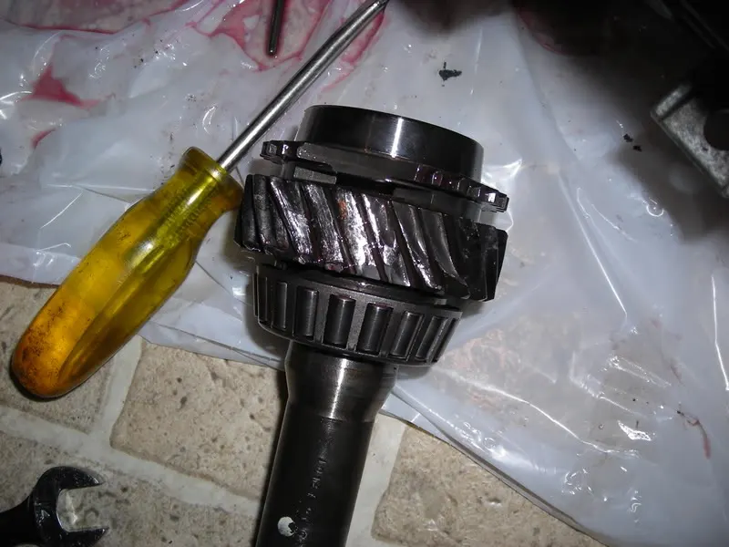 DSCN0531.webp