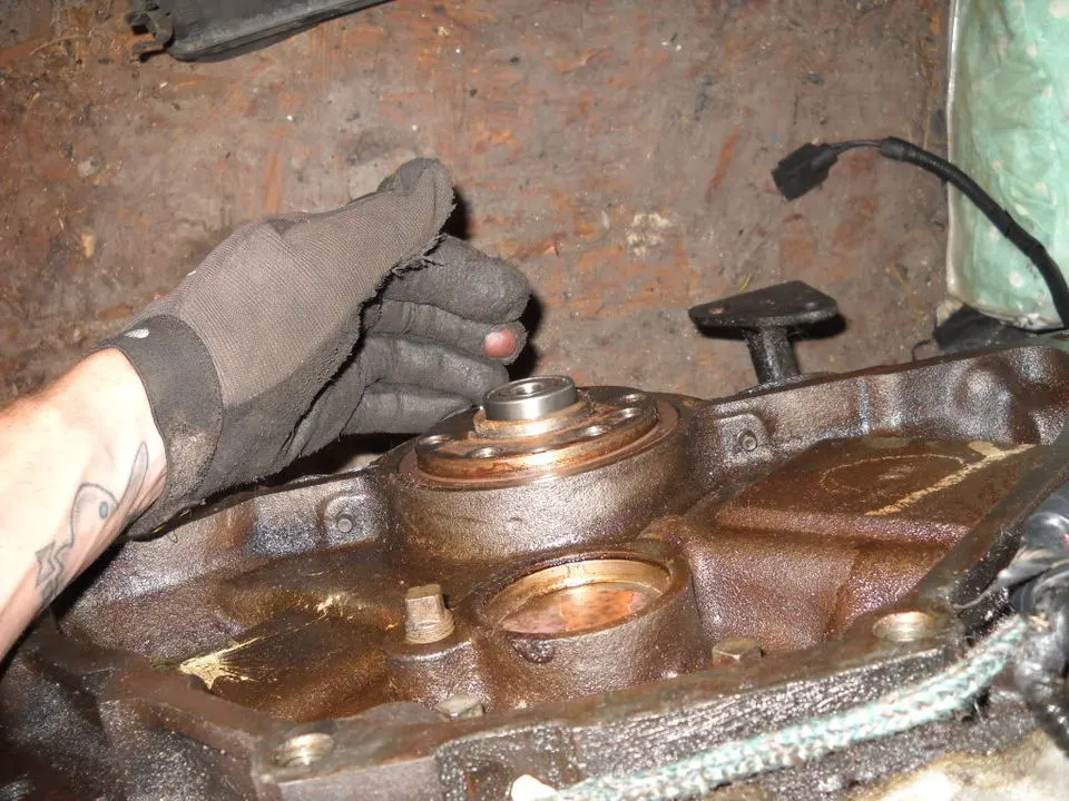 DSCN0534.webp