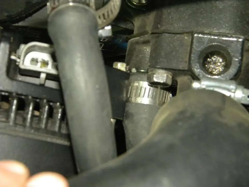 DSCN0538.webp